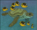 (image for) Sea Turtle